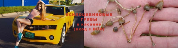 мескалин Кинешма