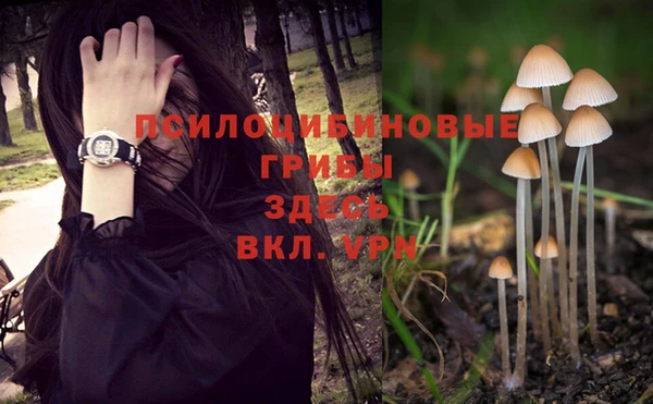 мескалин Кинешма