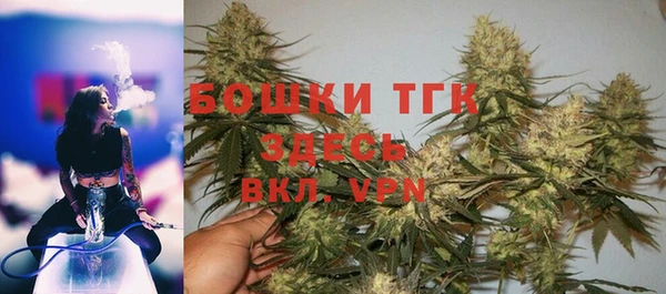мдпв Пестово