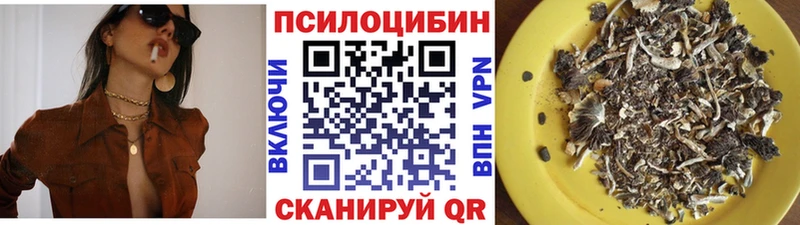Псилоцибиновые грибы Psilocybine cubensis  Ижевск 